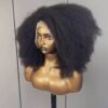 300% Density Fluffy Natural Black Afro Kinky Curly Transparent Frontal Wig 16 Inch Brazilian Virgin Remy Human Hair Short Bob Wigs For Black Women Medium Cap (22.5").