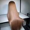 Natural shine Light Brown Human Hair Lace Wig With Blonde styled straight Back-View