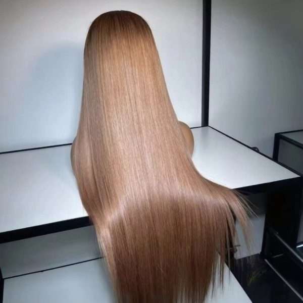 Natural shine Light Brown Human Hair Lace Wig With Blonde styled straight Back-View